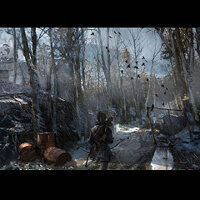 Достижение Внимательная в игре Rise of the Tomb Raider для Windows 10