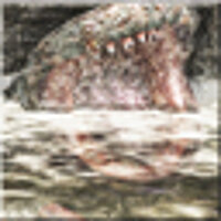 Достижение Do Not Shoot the Water! в игре Resident Evil 4 (2005) для Xbox 360