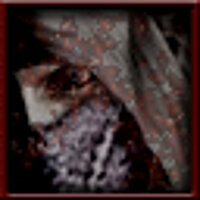Достижение Straynja! ... Straynga? в игре Resident Evil 4 (2005) для PS2