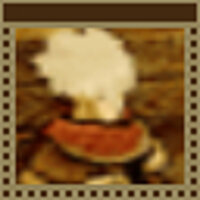 Достижение The Guarded в игре Wild Arms 3 для PS2