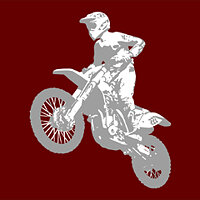 Трофей {trophy} в игре MXGP 2 для PS4