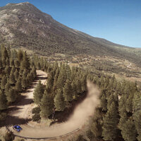 Достижение Гарантированно в игре DiRT Rally для Xbox One