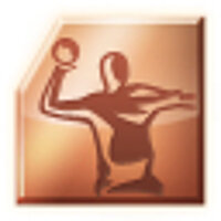 Достижение Team spirit в игре Handball 16 для Xbox 360