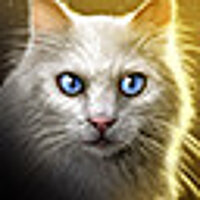 Достижение Stray Cat Strut в игре Divinity: Original Sin - Enhanced Edition для Steam
