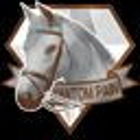 Достижение Верный конь в игре Metal Gear Solid 5: The Phantom Pain для Steam