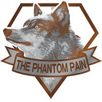 Трофей {trophy} в игре Metal Gear Solid 5: The Phantom Pain для PS3