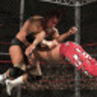 Достижение Game over в игре WWE 2K15 для Steam
