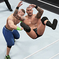 Трофей {trophy} в игре WWE 2K15 для PS3
