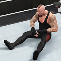 Трофей {trophy} в игре WWE 2K15 для PS3