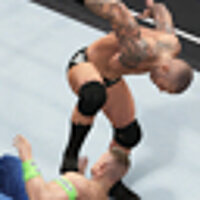 Достижение Excellent execution в игре WWE 2K15 для Xbox 360