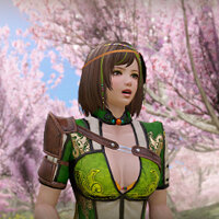Достижение Blossoming Love в игре Dynasty Warriors 8: Empires для Xbox One