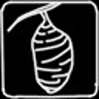 Достижение Chrysalis в игре Life is Strange для Steam