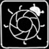 Достижение Shutterbug в игре Life is Strange для Steam