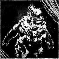 Трофей {trophy} в игре The Last of Us: Remastered для PS4