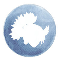 Трофей {trophy} в игре Child of Light для PS3