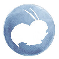 Трофей {trophy} в игре Child of Light для PS3
