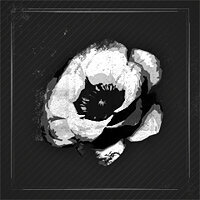 Трофей {trophy} в игре Thief для PS3