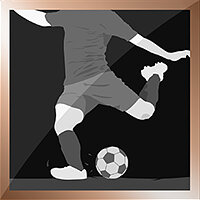 Трофей {trophy} в игре FIFA 14 для PS4