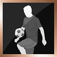 Трофей {trophy} в игре FIFA 14 для PS3
