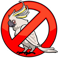 Трофей {trophy} в игре Angry Birds Trilogy для PS3