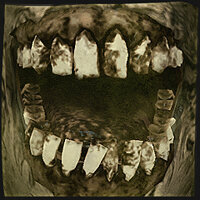 Трофей {trophy} в игре The Walking Dead: Survival Instinct для PS3