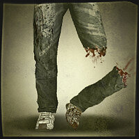 Трофей {trophy} в игре The Walking Dead: Survival Instinct для PS3