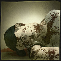 Трофей {trophy} в игре The Walking Dead: Survival Instinct для PS3
