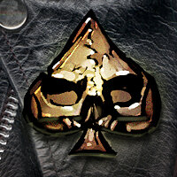 Трофей {trophy} в игре Brutal Legend для PS3