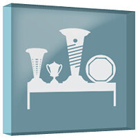 Трофей {trophy} в игре F1 2012 для PS3