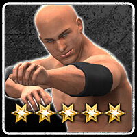 Трофей {trophy} в игре WWE 13 для PS3