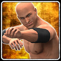 Трофей {trophy} в игре WWE 13 для PS3