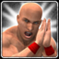 Достижение A winning combination! в игре WWE 13 для Xbox 360