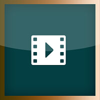 Трофей {trophy} в игре FIFA Street для PS3