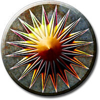 Трофей {trophy} в игре Dragon Age: Origins для PS3