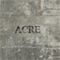 Достижение «Defender of the People: Acre» в игре Assassin's Creed для Xbox 360