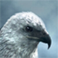 Достижение «Visions of the Future» в игре Assassin's Creed для Xbox 360