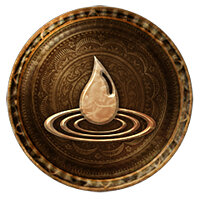 Трофей {trophy} в игре Uncharted 3: Drake's Deception для PS3