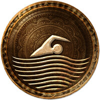 Трофей {trophy} в игре Uncharted 3: Drake's Deception для PS3