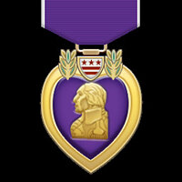 Достижение Purple Heart в игре Aircraft Carrier Survival для Steam