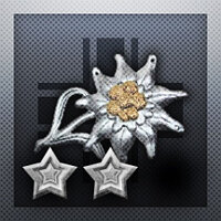Достижение Among the Heavens - Normal в игре Call to Arms - Gates of Hell: Ostfront для Steam