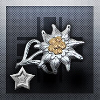 Достижение Among the Heavens - Easy в игре Call to Arms - Gates of Hell: Ostfront для Steam