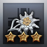 Достижение Among the Heavens - Hardcore в игре Call to Arms - Gates of Hell: Ostfront для Steam