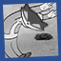 Достижение You Got Some Rhythm, Raccoon в игре Sly Cooper and the Thievius Raccoonus для PS2