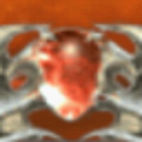Достижение Skilled on the Battlefield в игре SoulCalibur 3 для PS2