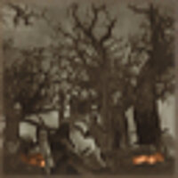 Достижение [C2V{XIII}] After the Torching в игре Drakengard для PS2