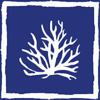 Достижение Умелый ныряльщик в игре Survival: Fountain of Youth для Steam