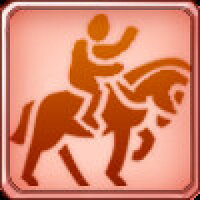 Достижение Racecourse Veteran в игре Volcano Princess для Steam