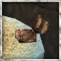 Достижение Becoming the Treasure Bugs That We Are в игре Ys Seven для PSP