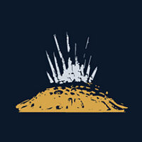 Достижение Another Bug Hunt в игре Starfield для Steam