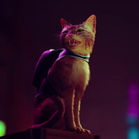 Достижение A Little Chatty в игре Stray для Xbox One, Xbox Series